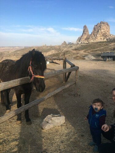 Внешний вид отеля Sakli Konak - Cappadocia в Учхисаре, фото 3