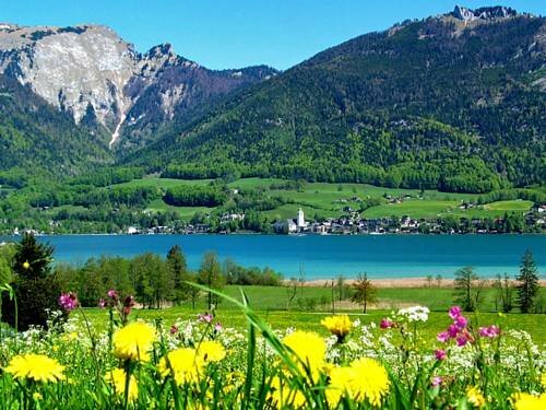 Гостиница Haus Rattenböck в Верхней Австрии