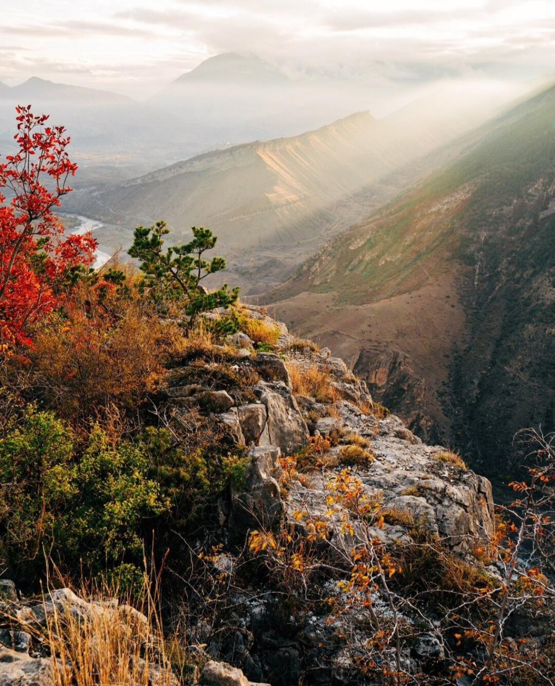 Фото Дубки Сулакский Каньон
