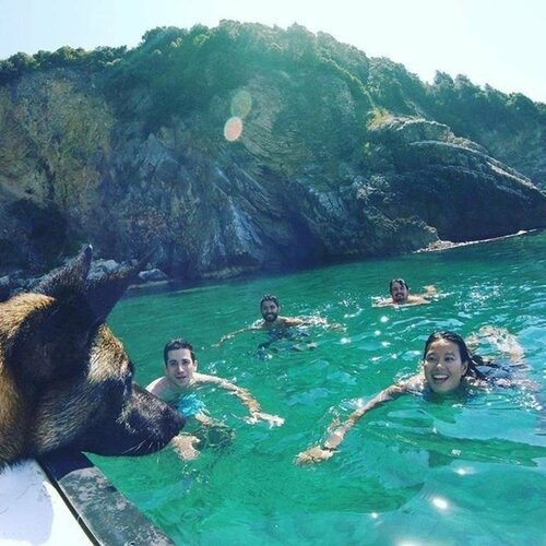 Хостел Pirate Backpackers в Улцине