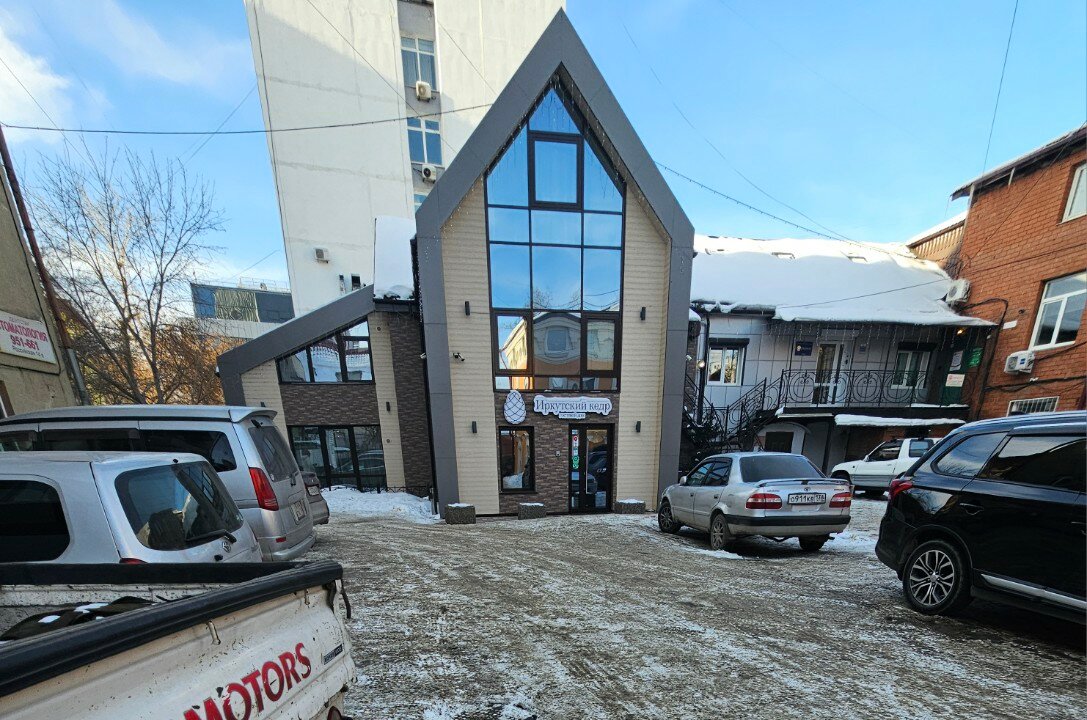 Фото Иркутский кедр