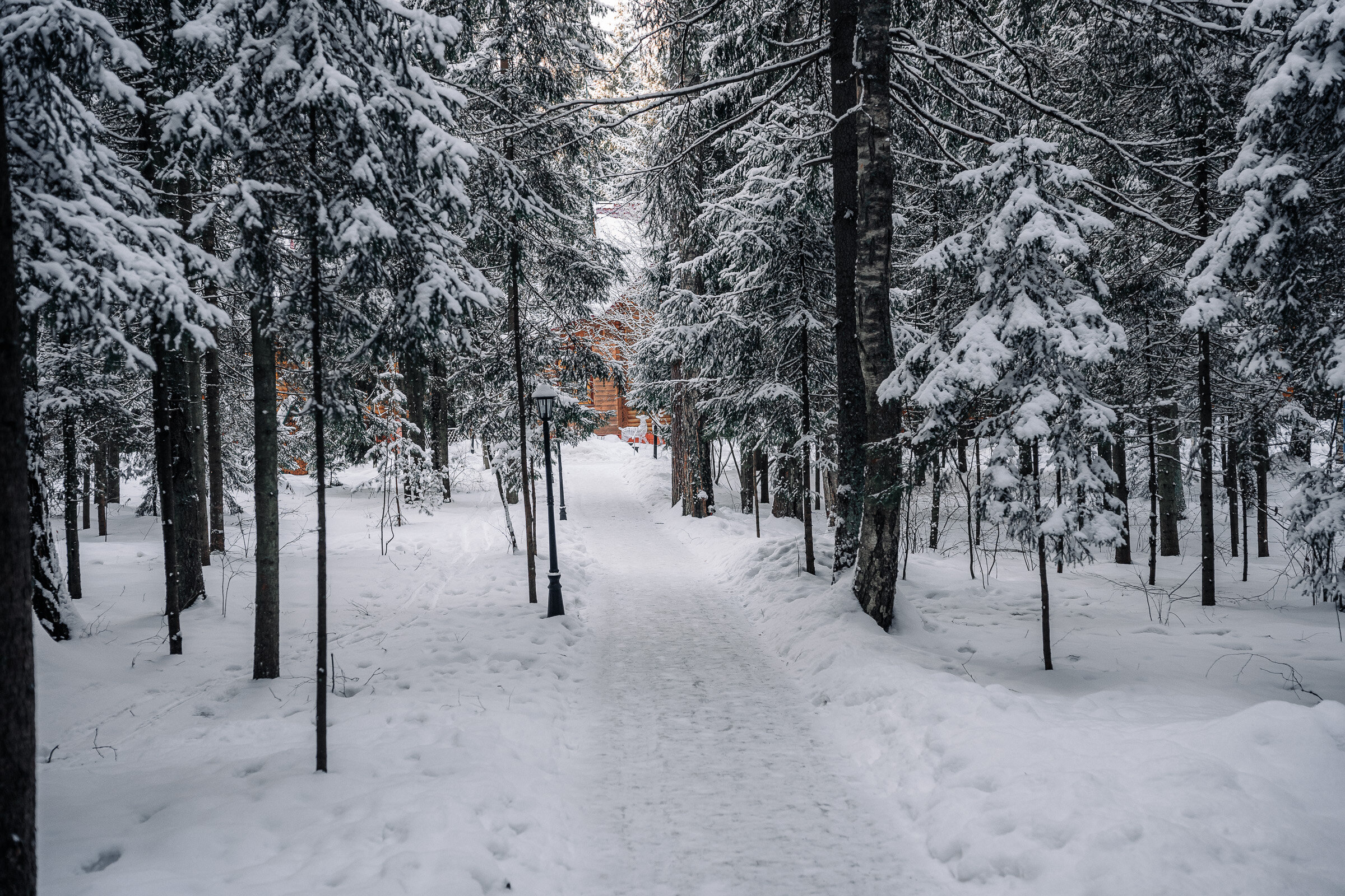 Фото Истра Холидей
