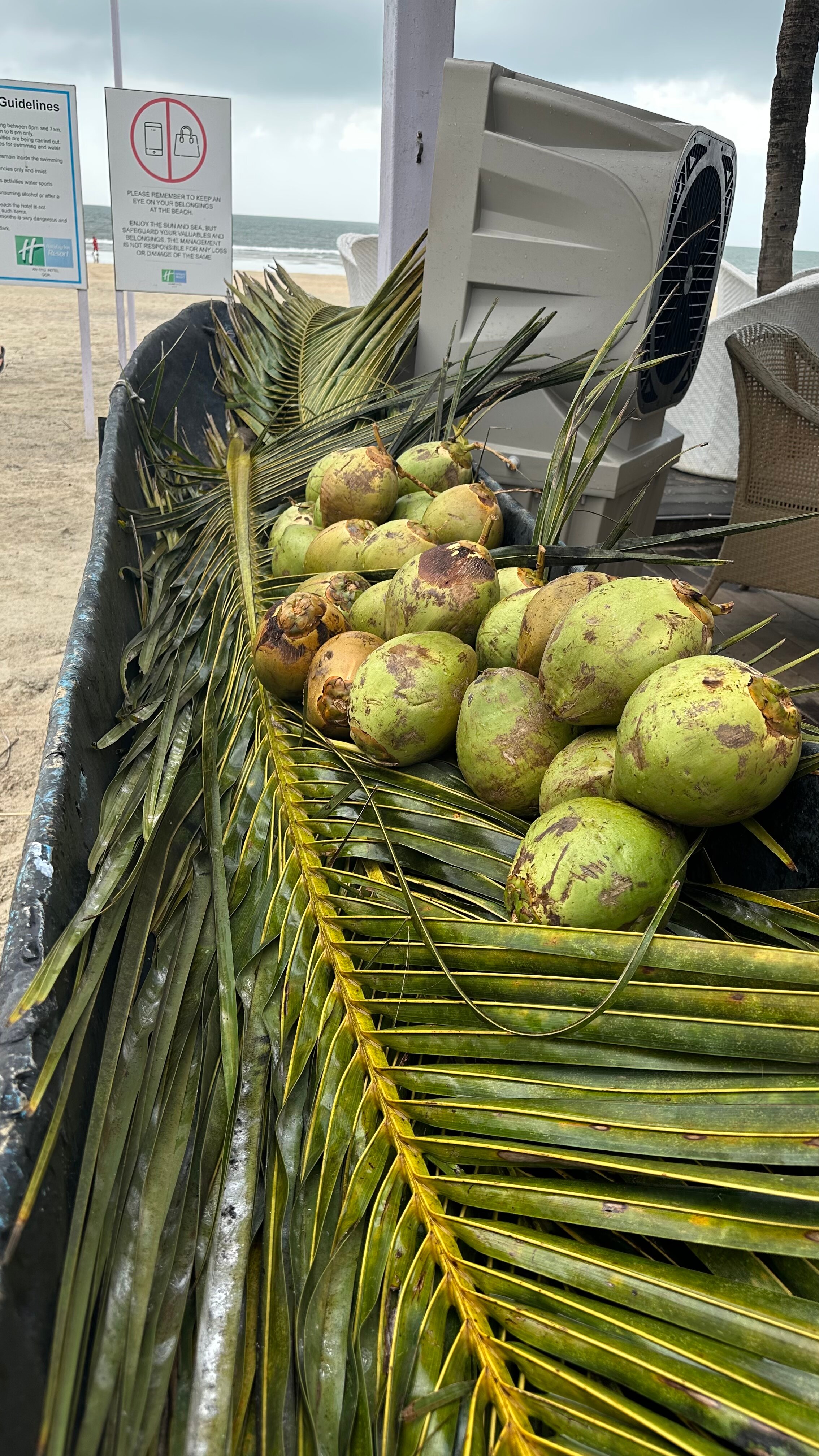 Фото Holiday Inn Resort Goa