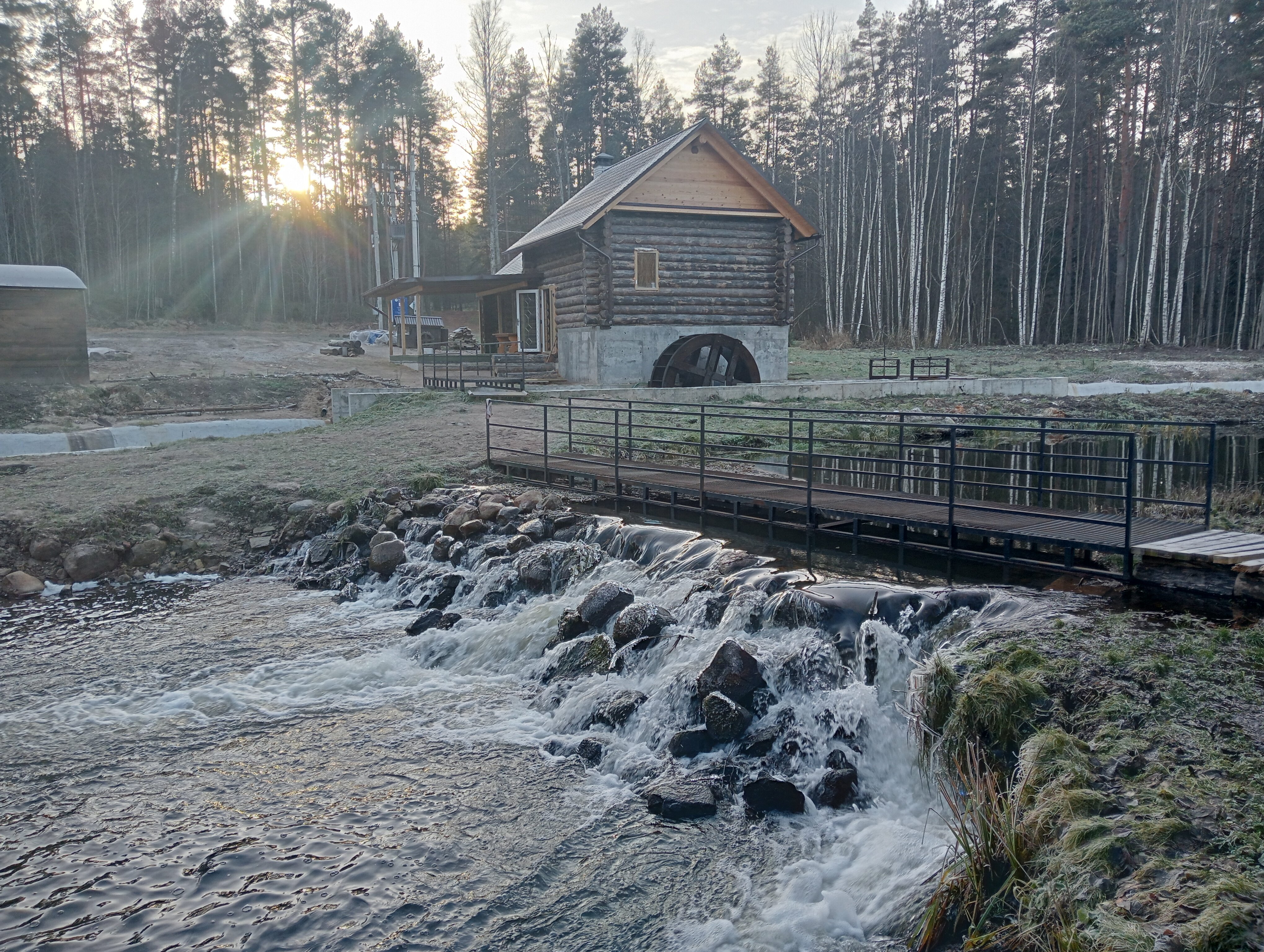 Фото Хитрый Лис