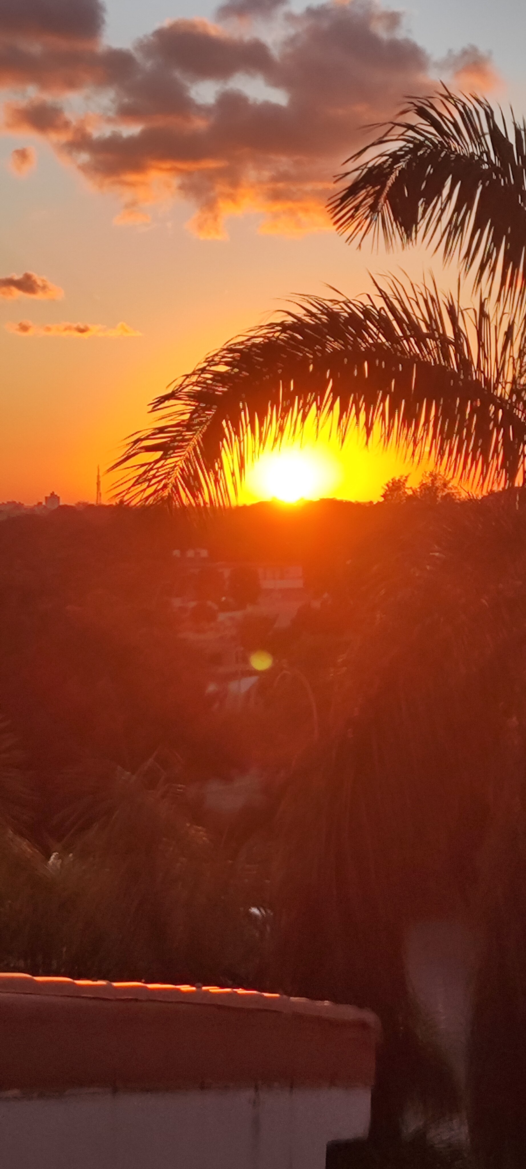 Фото Occidental Arenas Blancas by Barcelo