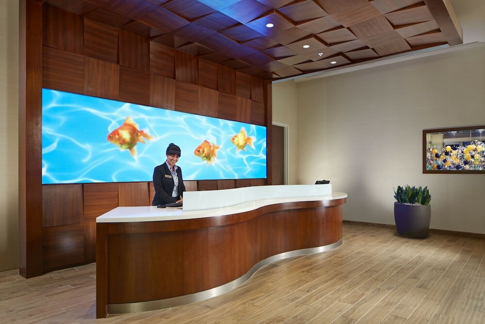 Фото SpringHill Suites by Marriott at Anaheim Resort/Conv. Cntr