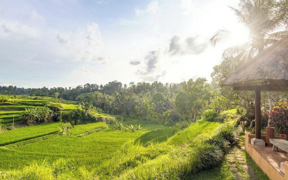 Фото Villa Semana Resort & SPA