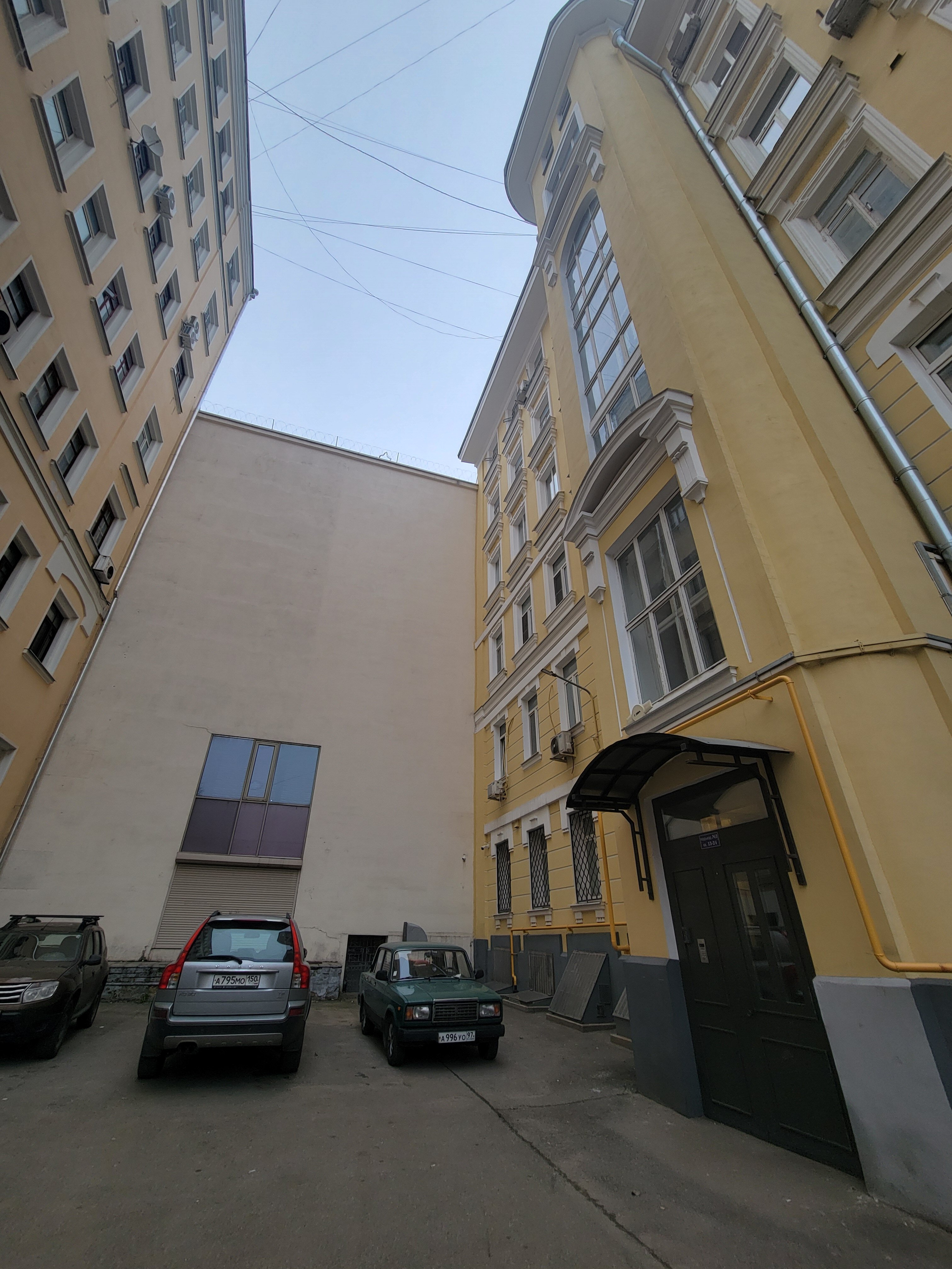 Фото Мятный уголок
