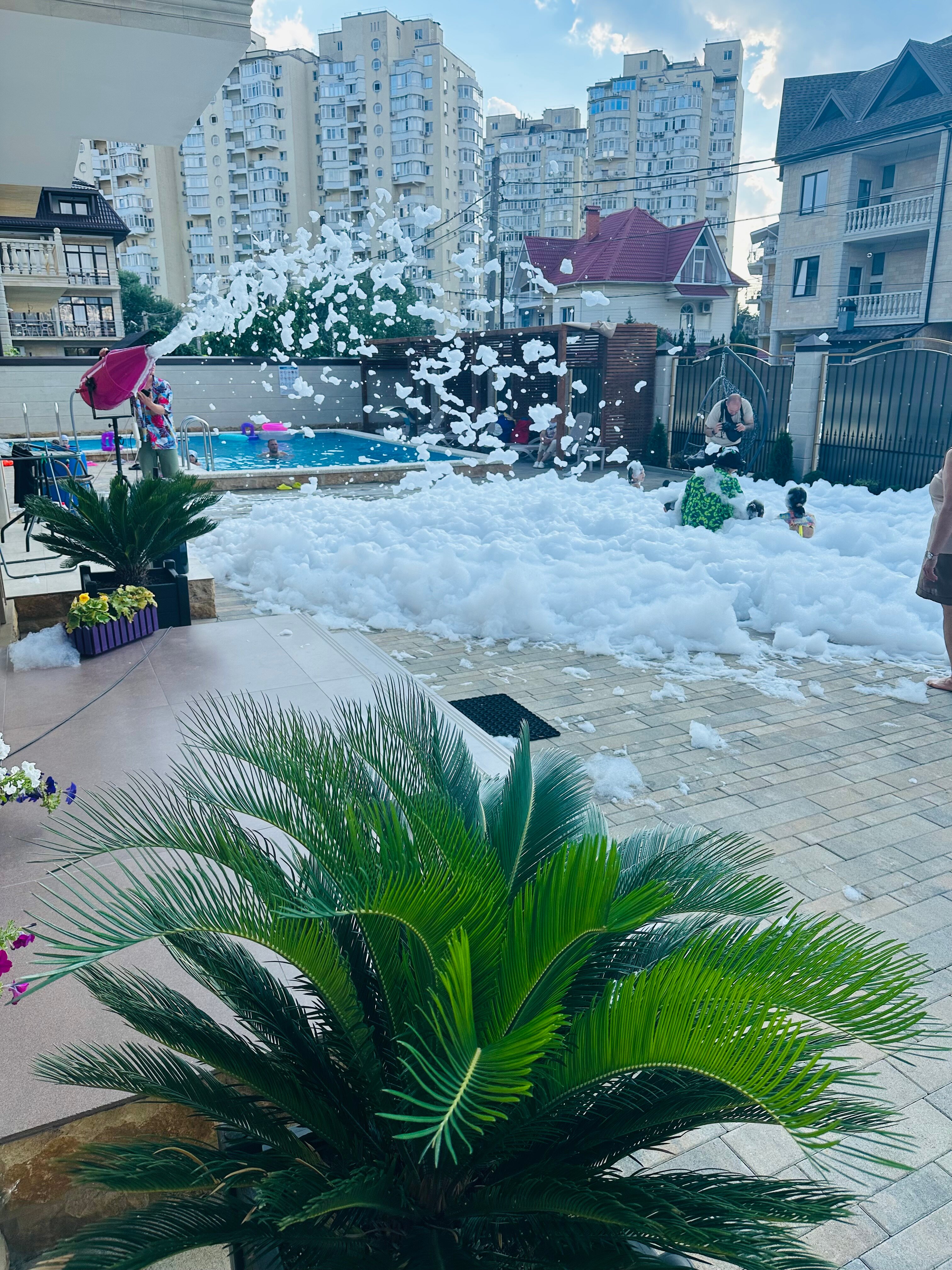 Фото Монарх