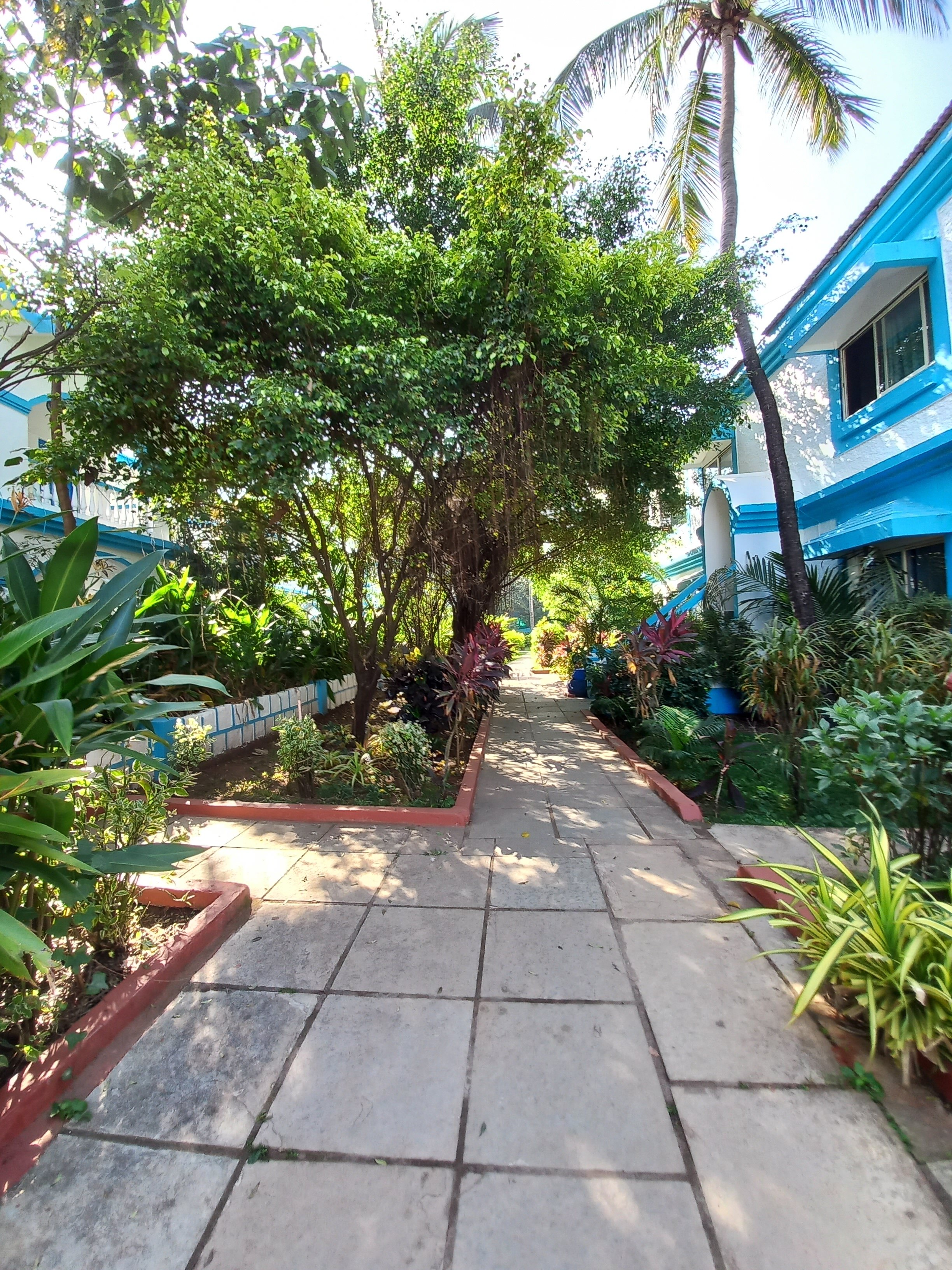 Фото Paradise Village Beach Resort