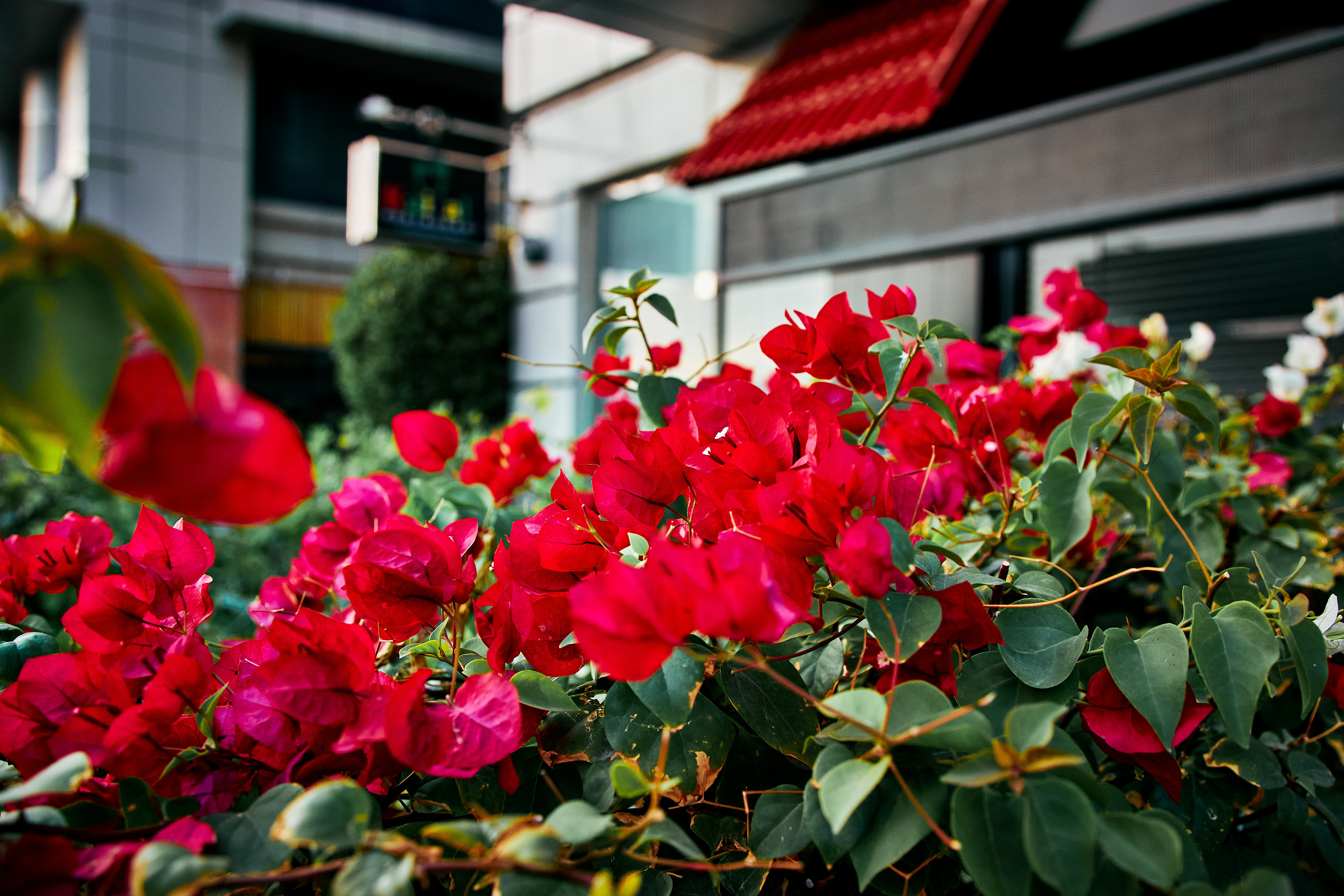 Фото City Tower Hotel