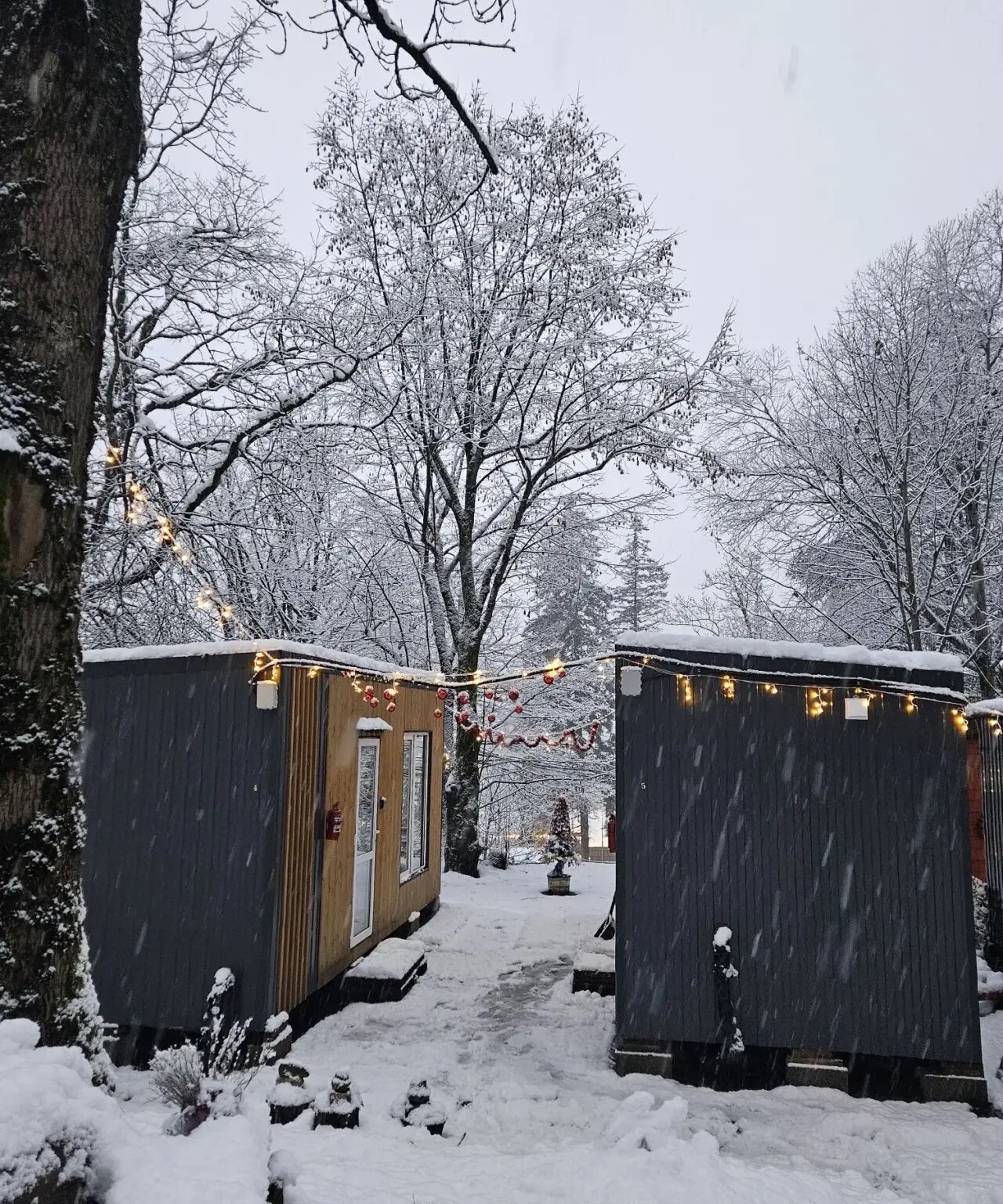 Фото Хутор Романовский