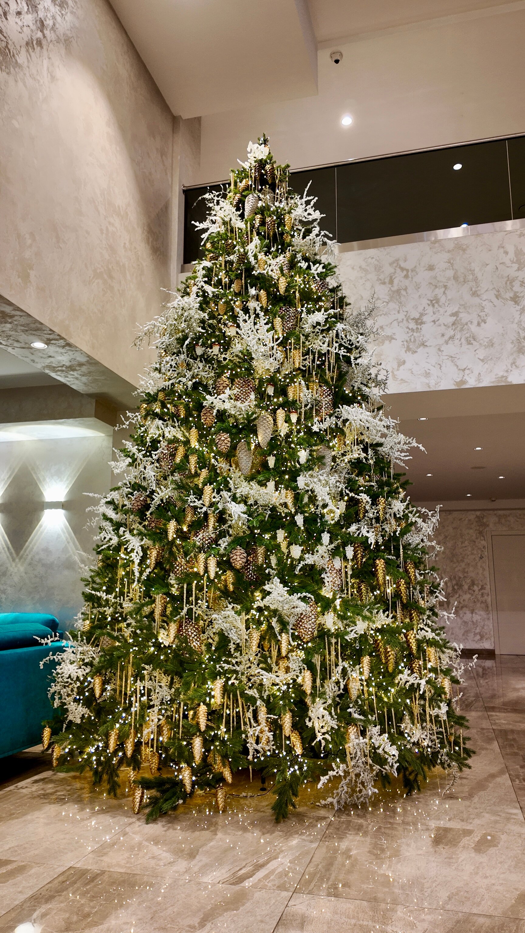 Фото Костас