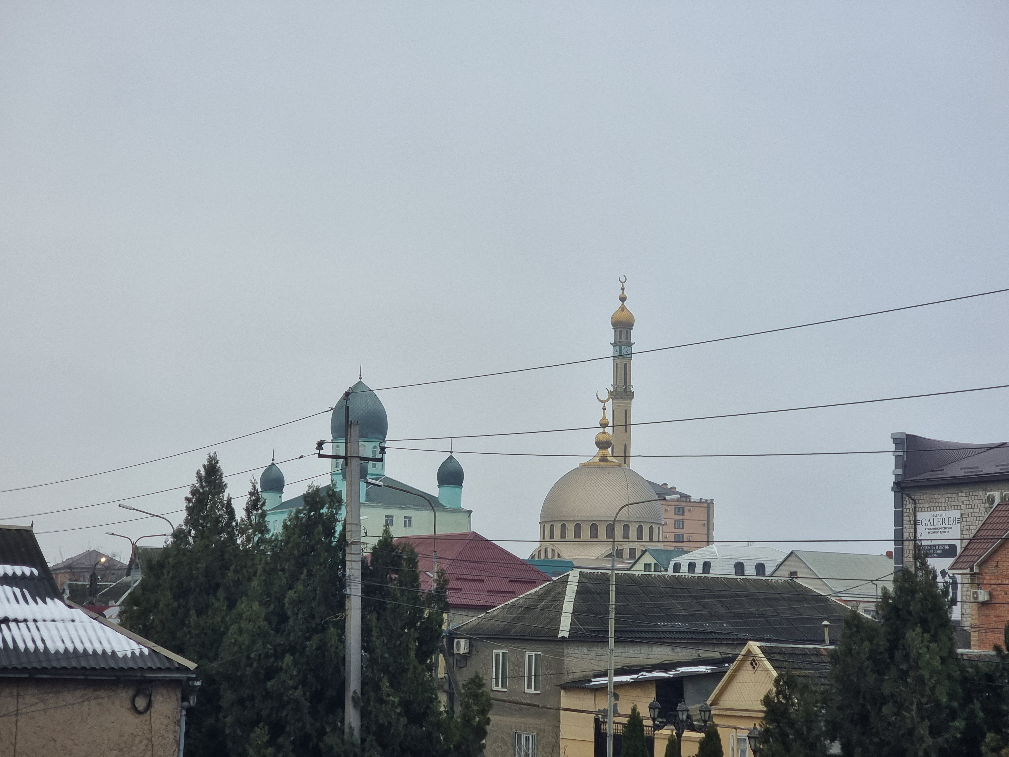 Фото Фламинго