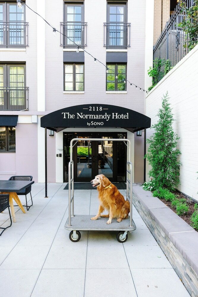 Фото The Normandy Hotel
