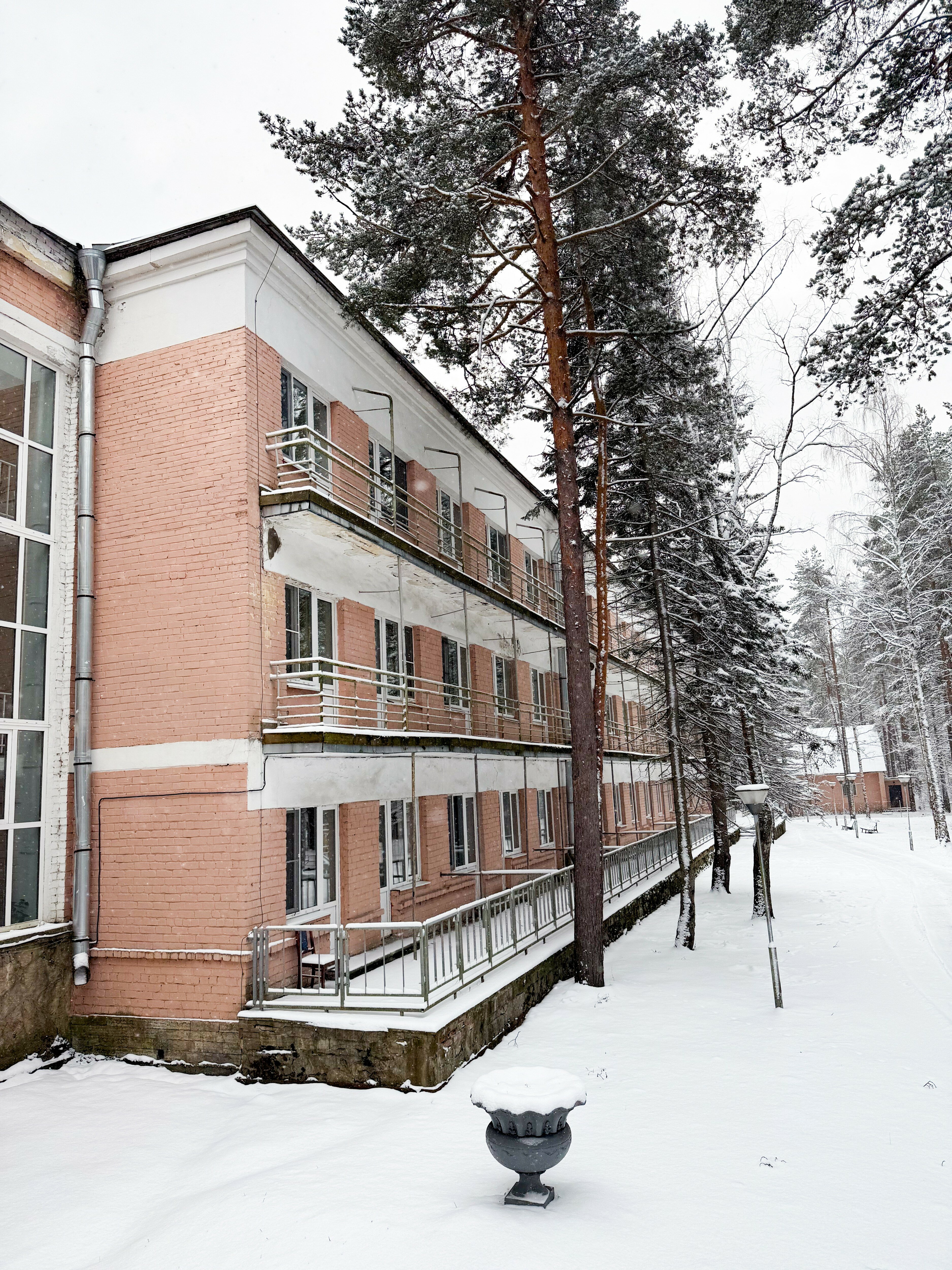 Фото Комарово