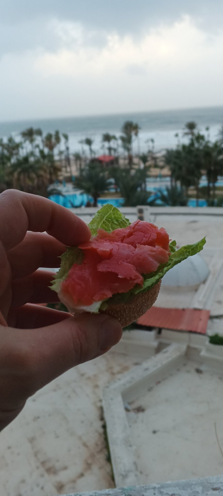 Фото Riadh Palms Resort and SPA