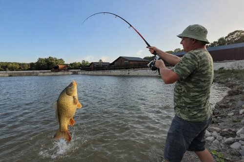 Дом отдыха Гравитация в Тульском