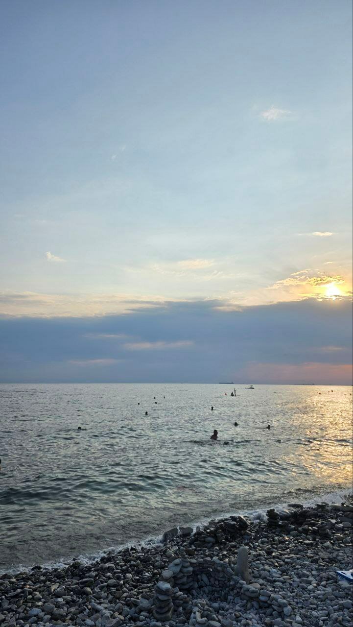 Фото Астери