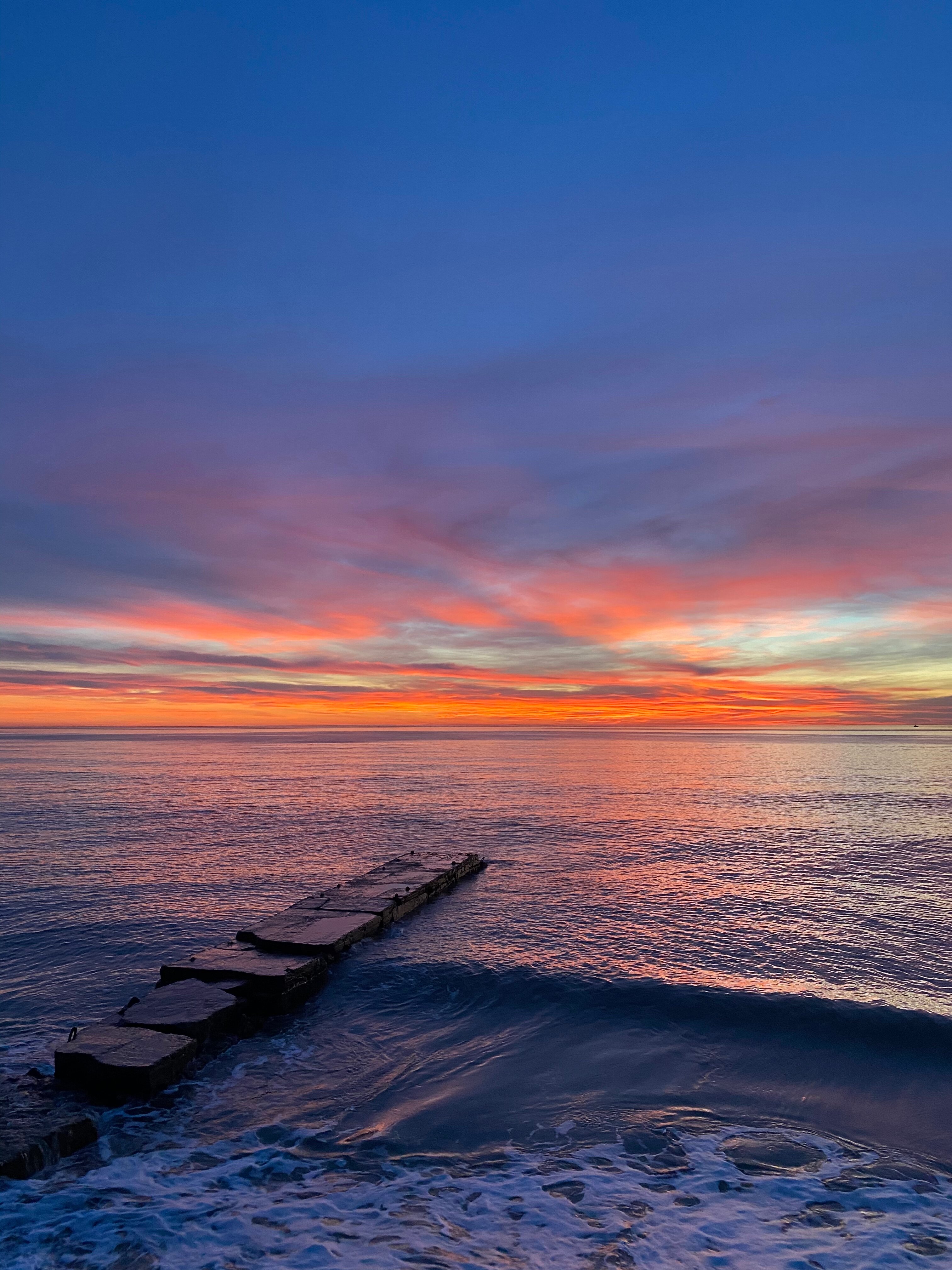 Фото Орхидея