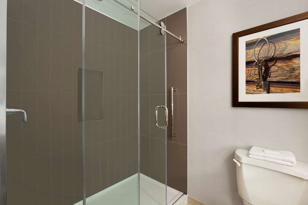 Фото Embassy Suites by Hilton Dallas Dfw Airport North