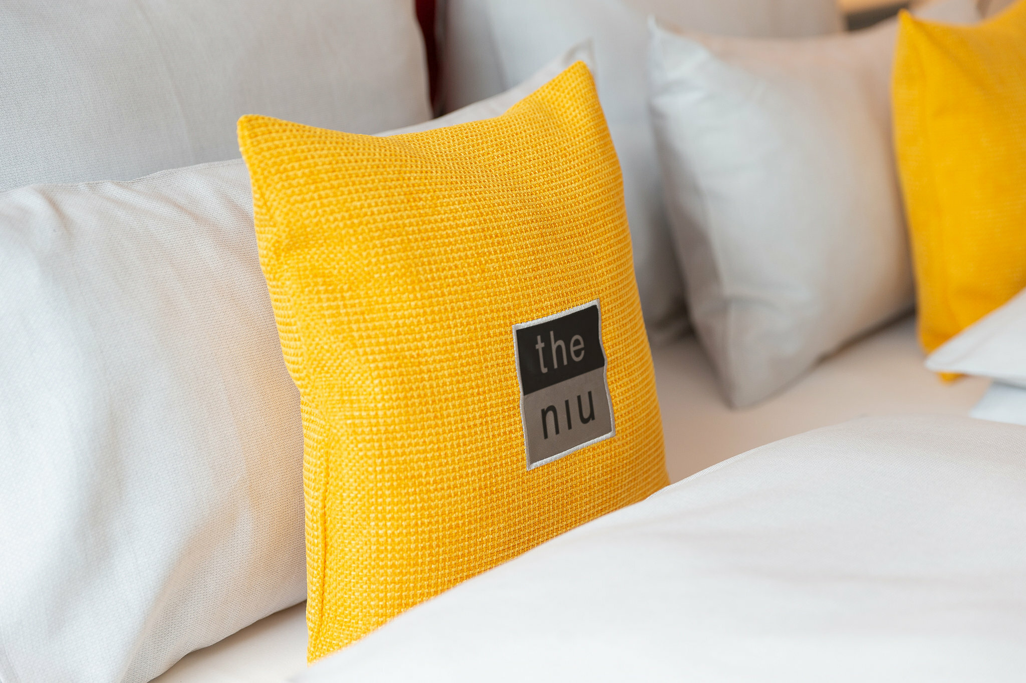 Фото The niu Franz