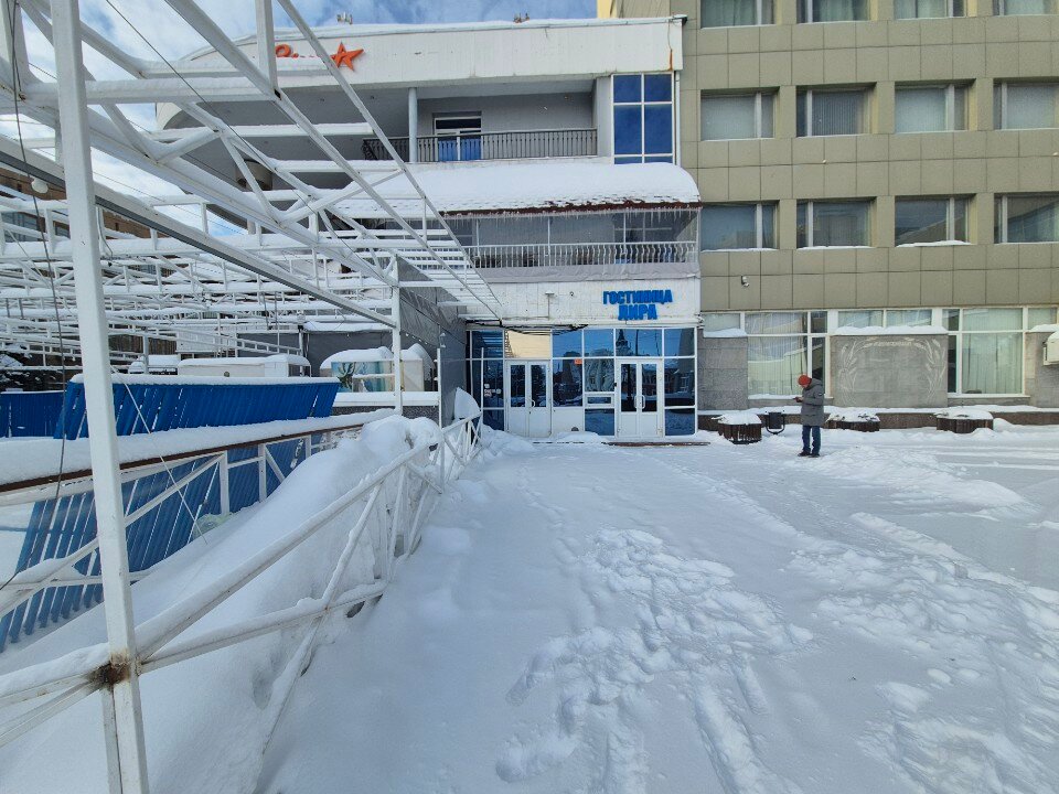Фото Лира
