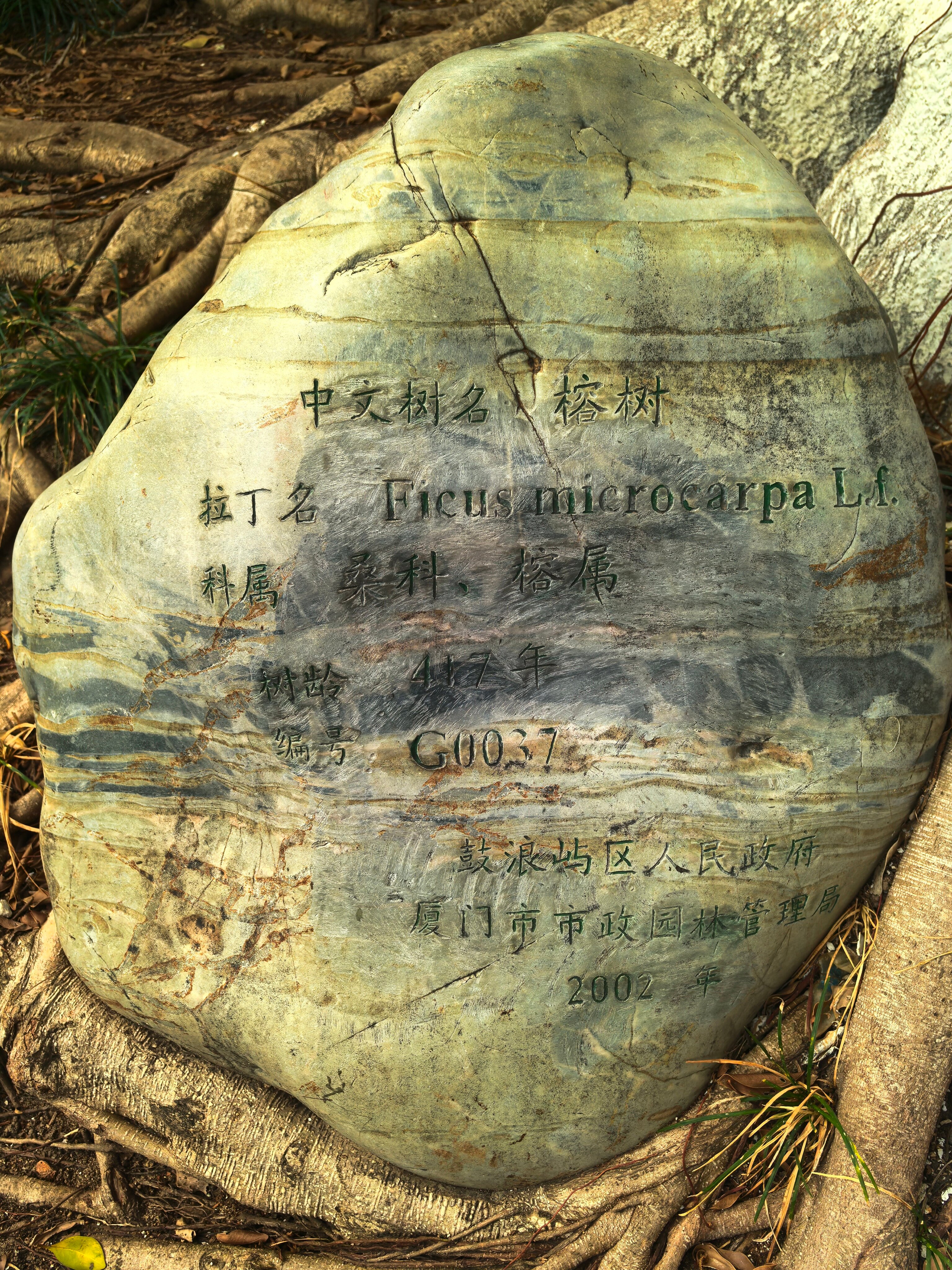 Фото Beijing Xinqiao Hotel