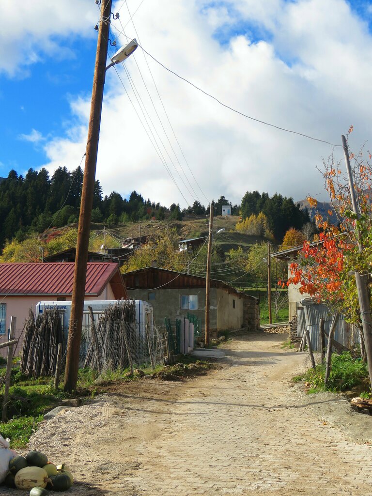 Mukhtars Pirnalli Village Headman's Office, Artvin, photo