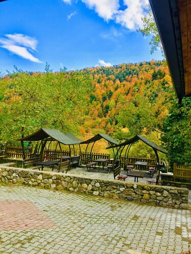 Гостиница Abant Yayla Dagevi в Болу