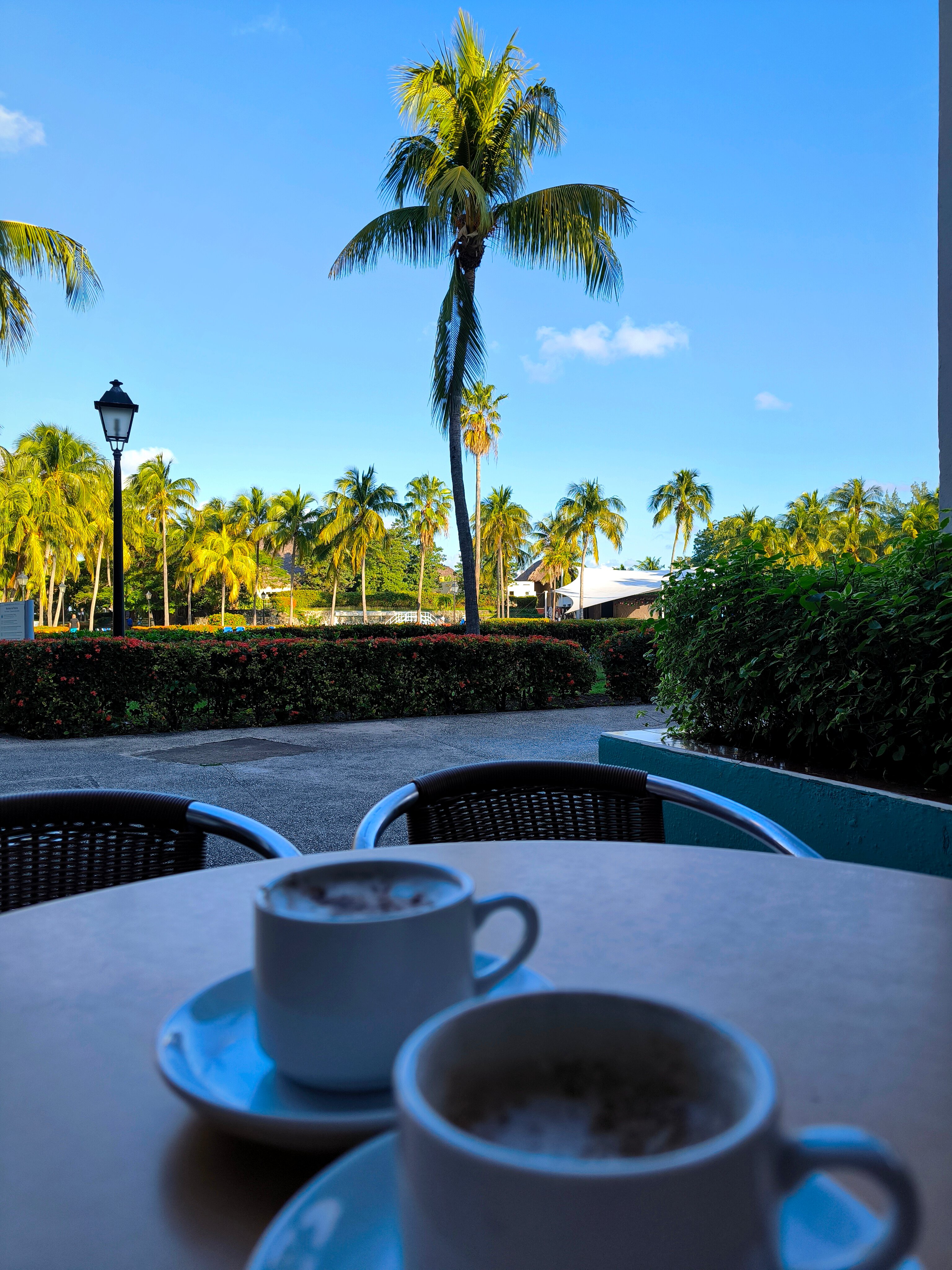 Фото Occidental Arenas Blancas by Barcelo