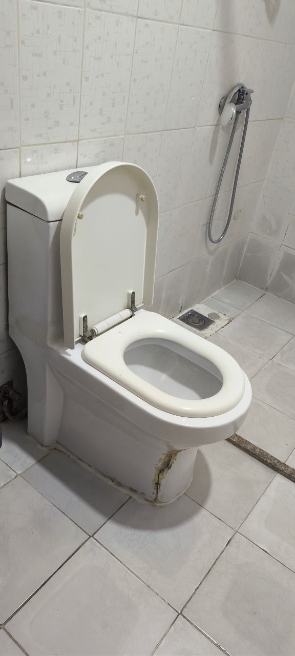 Фото Золотой Дракон