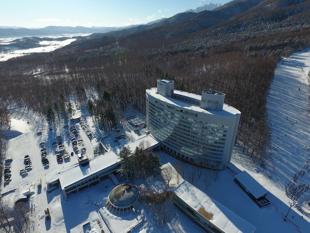 Фото Shin Furano Prince Hotel