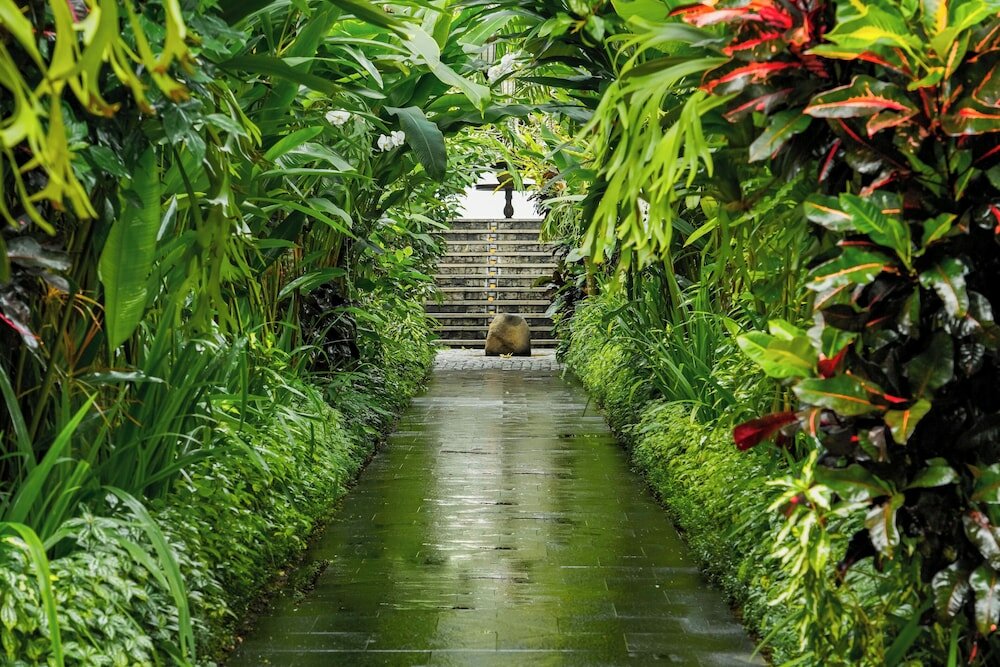 Фото Goya Boutique Resort