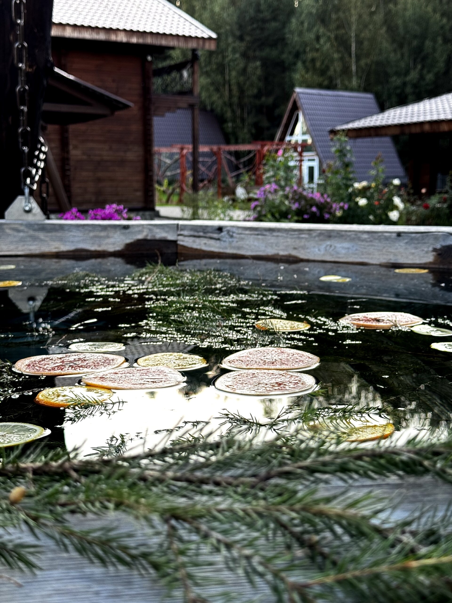 Фото Керженец