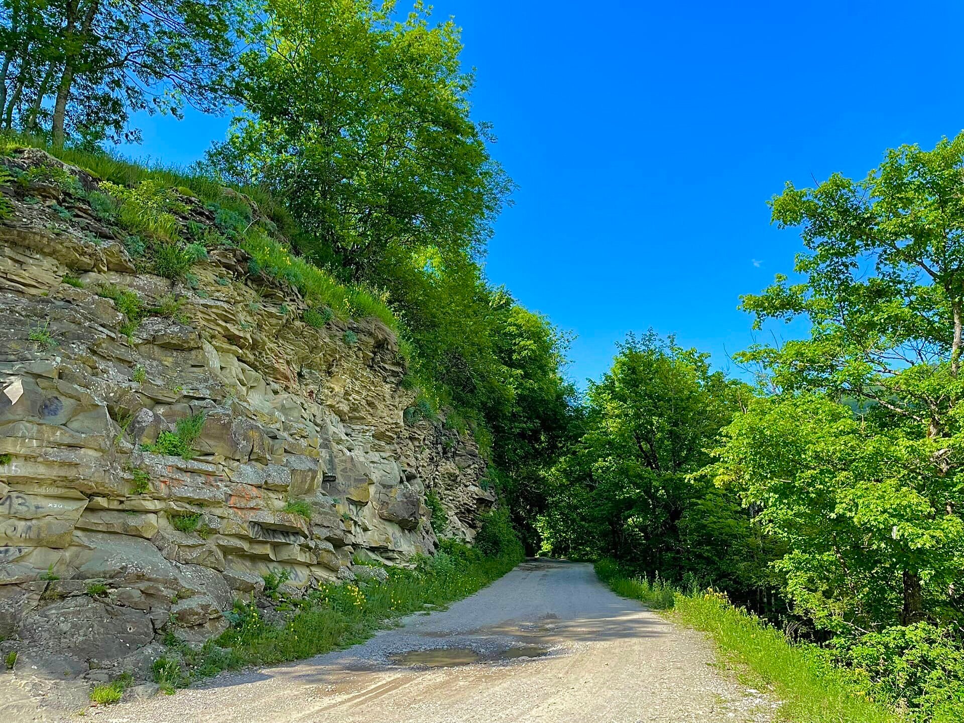 Фото Бурный