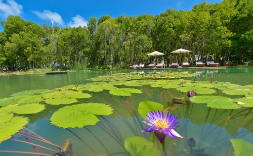 Гостиница Dreamland Unique Sea and Lake Resort SPA на Атолле Баа