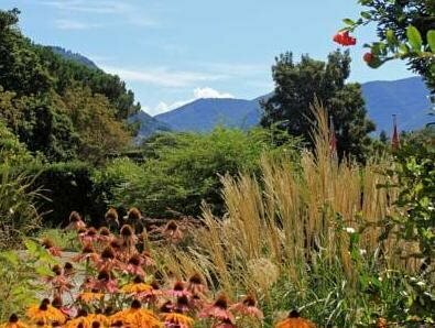 Гостиница Youth Hostel Lugano Savosa в Лугано