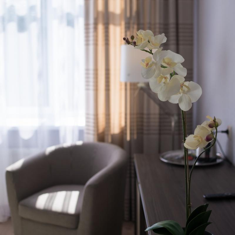 Фото Силуэт