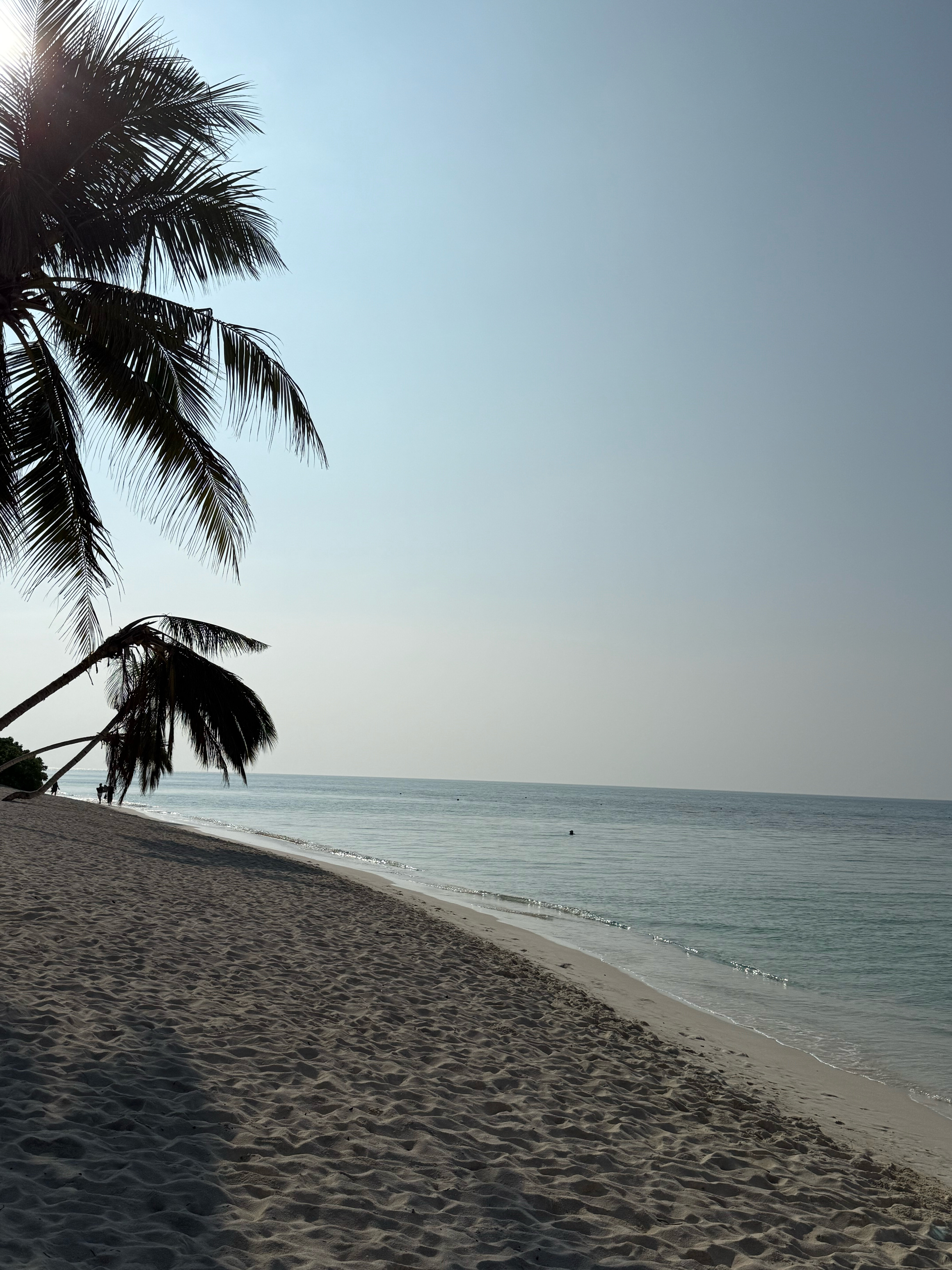 Фото Belvedere Thoddoo