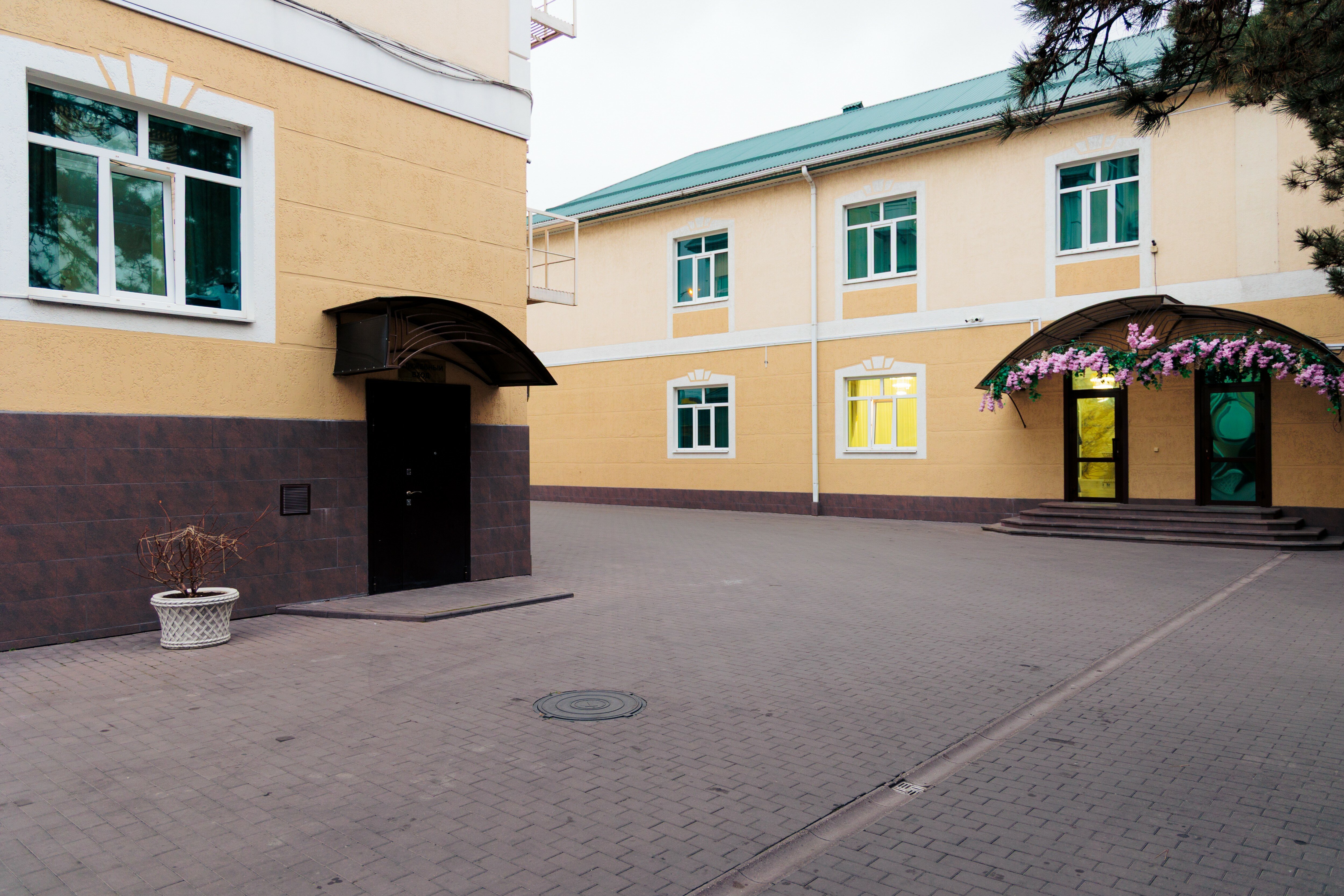 Фото Эдельвейс