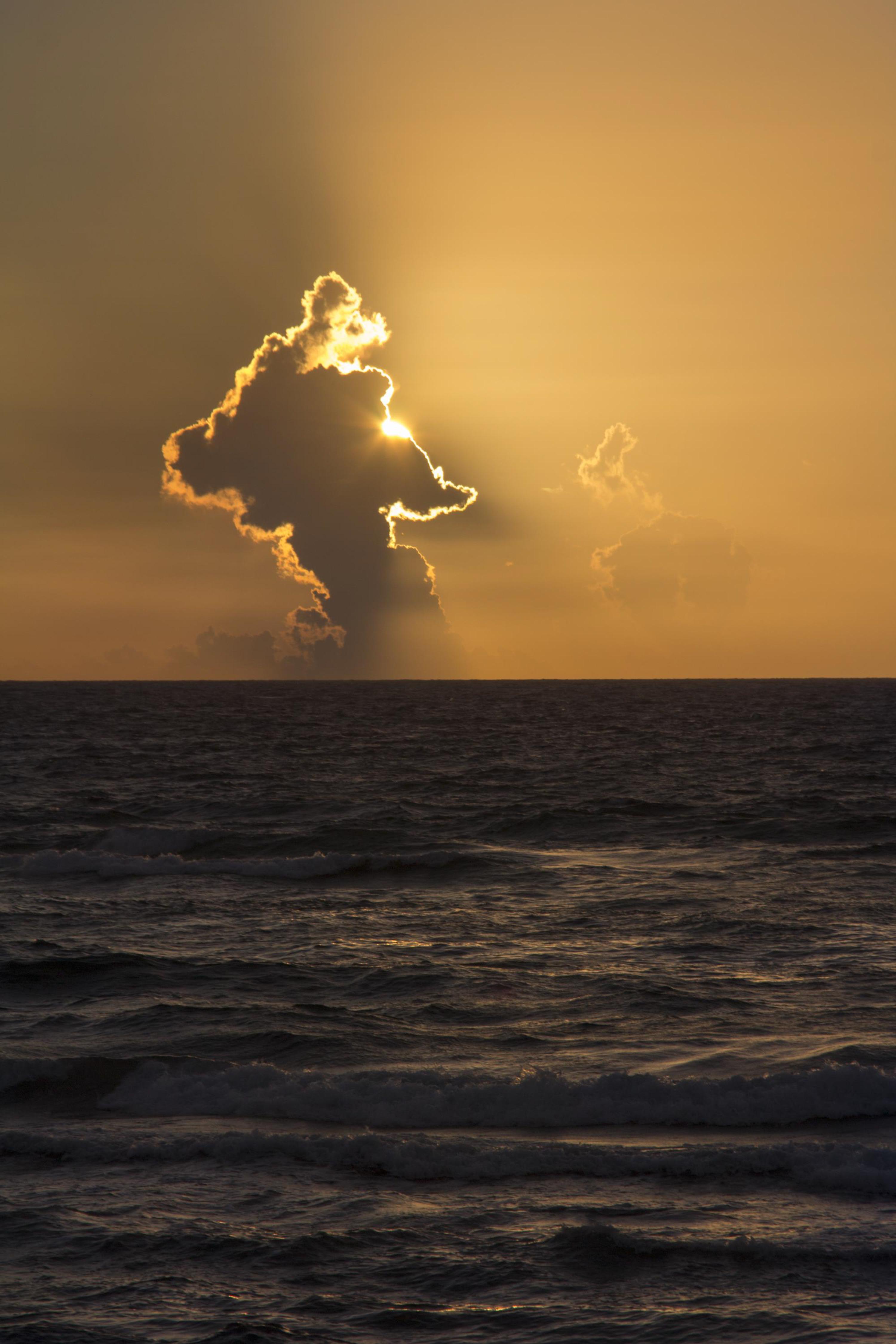 Фото Delray Sands Resort