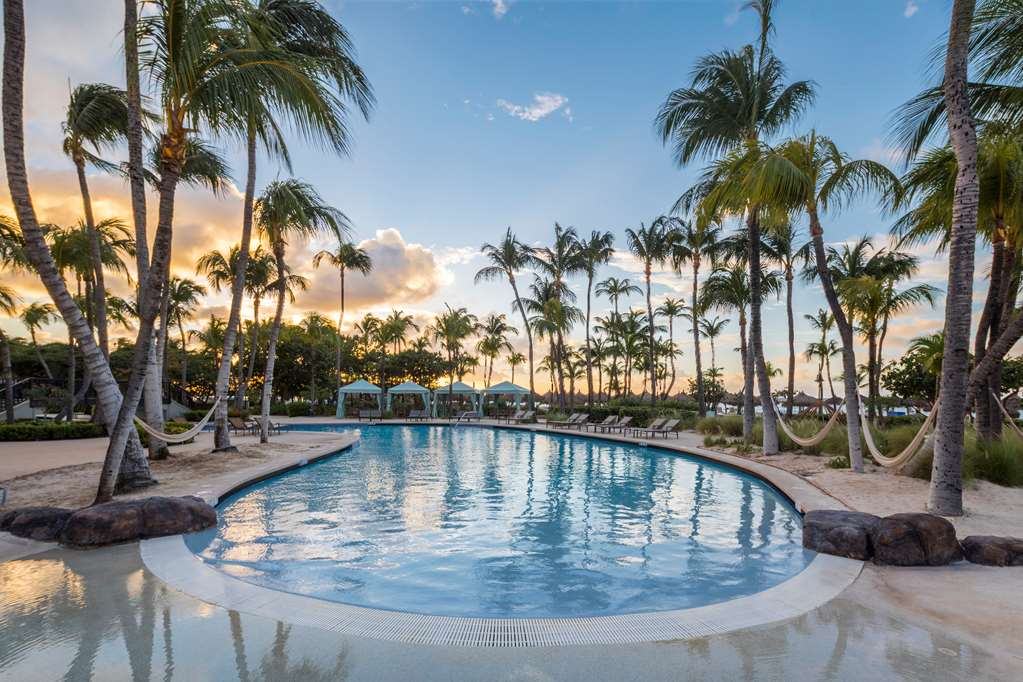 Фото Hilton Aruba Caribbean Resort and Casino