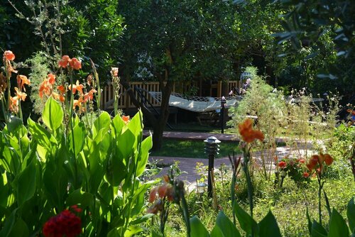 Гостиница Caretta Caretta Pension в Кумлудже