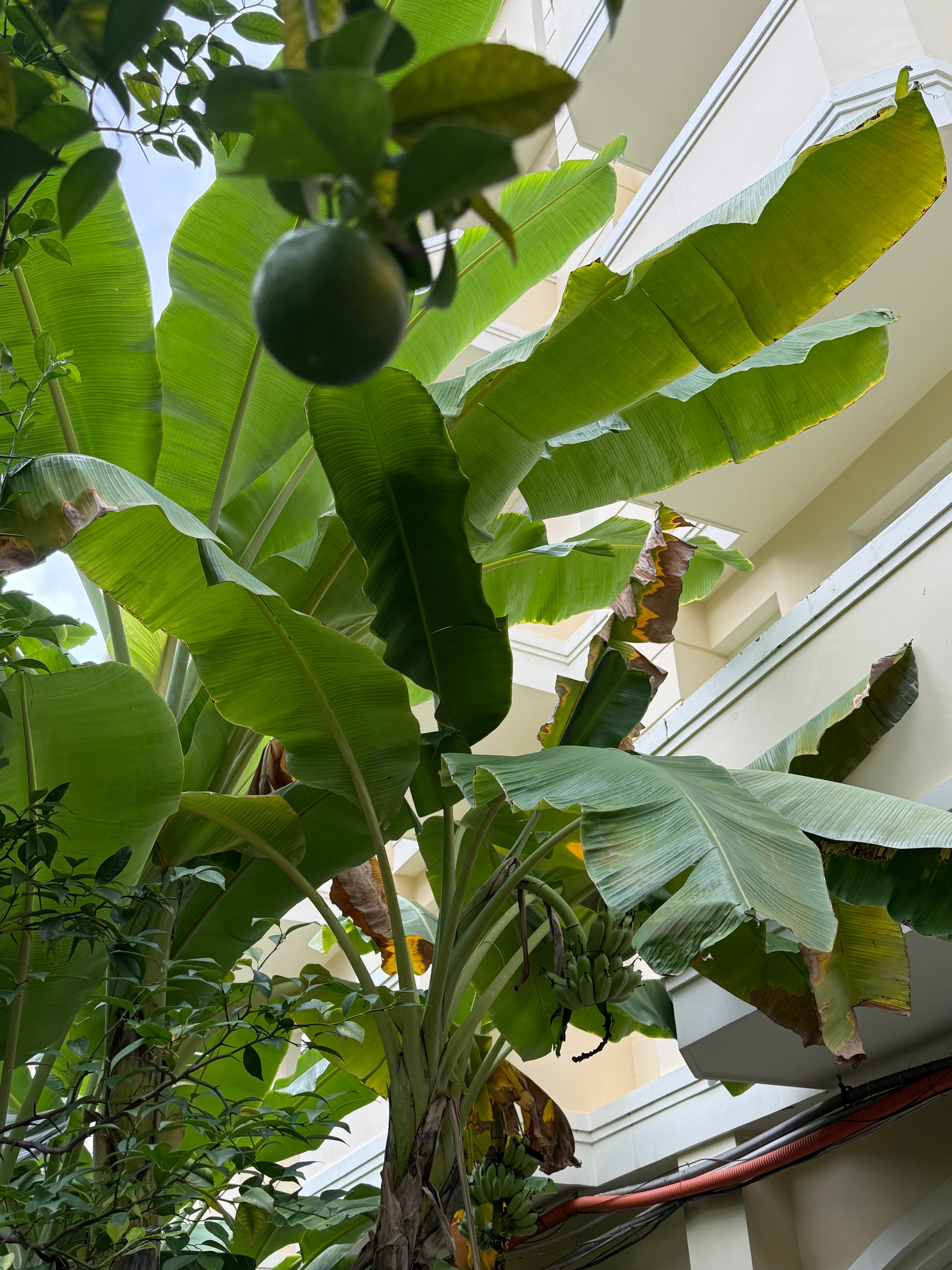 Фото Tran Vien Dong