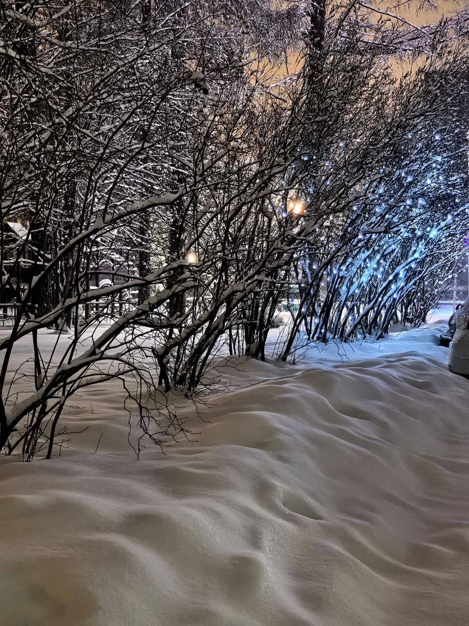 Фото Юбилейный