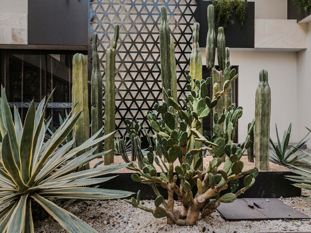 Фото Grand Fiesta Americana Oaxaca