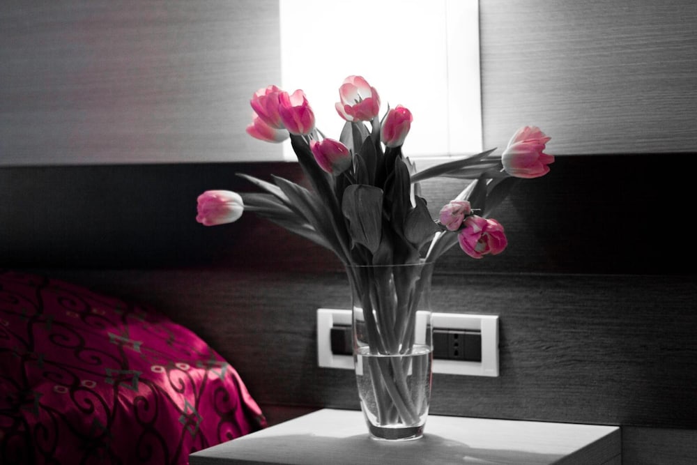 Фото Hotel Siena