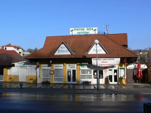Гостиница Penzion Oaza в Злинском крае