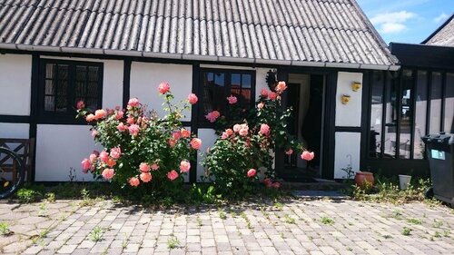 Гостиница Dåstrup Bed & Breakfast в Зеландии